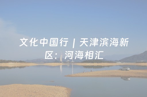 文化中国行｜天津滨海新区：河海相汇，鸥影翩跹