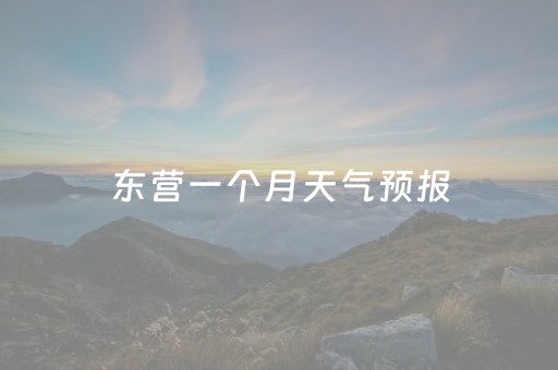 东营一个月天气预报（东营一个月天气预报15天）