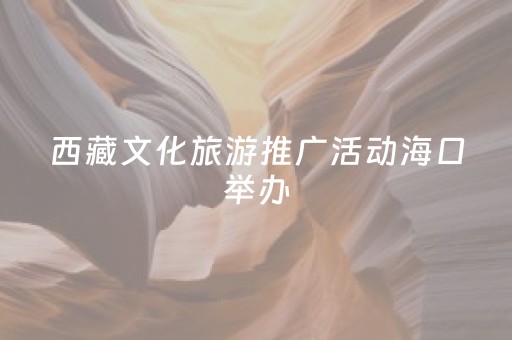 西藏文化旅游推广活动海口举办