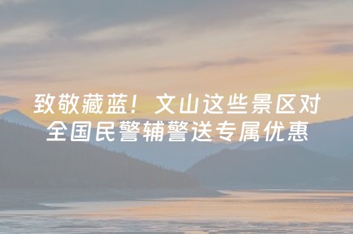 致敬藏蓝！文山这些景区对全国民警辅警送专属优惠，速收藏