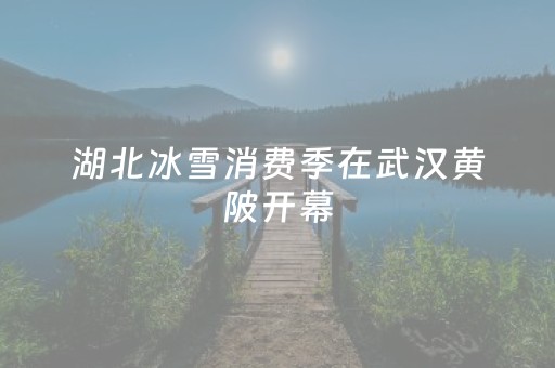 湖北冰雪消费季在武汉黄陂开幕