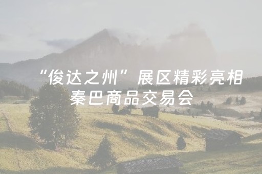 “俊达之州”展区精彩亮相秦巴商品交易会