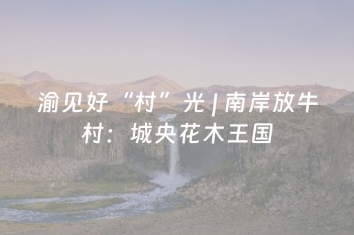 渝见好“村”光 | 南岸放牛村：城央花木王国，治愈喧嚣时光