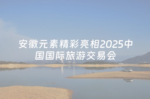 安徽元素精彩亮相2025中国国际旅游交易会