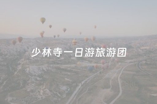 少林寺一日游旅游团（少林寺一日游旅游团洛阳）