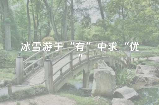 冰雪游于“有”中求“优”