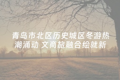 青岛市北区历史城区冬游热潮涌动 文商旅融合绘就新图景