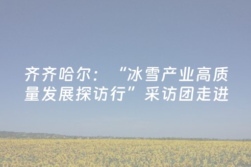 齐齐哈尔：“冰雪产业高质量发展探访行”采访团走进鹤城