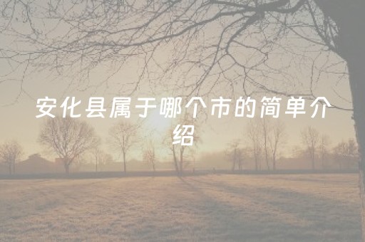 安化县属于哪个市的简单介绍