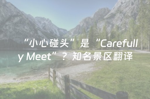 “小心碰头”是“Carefully Meet”？知名景区翻译错误五花八门，“外国人看不懂，中国人不需要看”