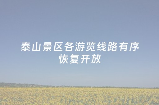 泰山景区各游览线路有序恢复开放