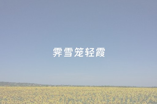 霁雪笼轻霞，远眺故宫美成壁纸