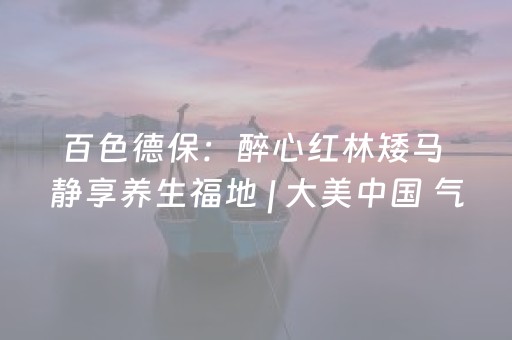 百色德保：醉心红林矮马 静享养生福地 | 大美中国 气象万千
