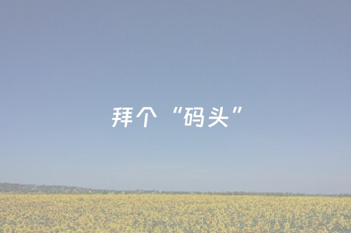 拜个“码头”