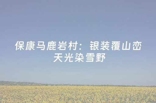 保康马鹿岩村：银装覆山峦 天光染雪野