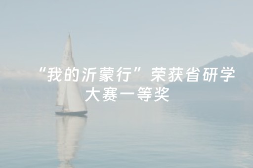 “我的沂蒙行”荣获省研学大赛一等奖