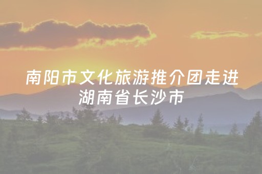 南阳市文化旅游推介团走进湖南省长沙市