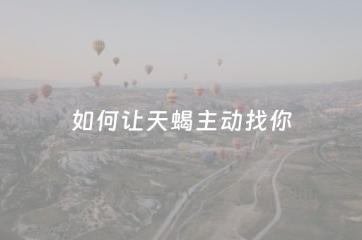 如何让天蝎主动找你（如何让天蝎主动找你聊天）