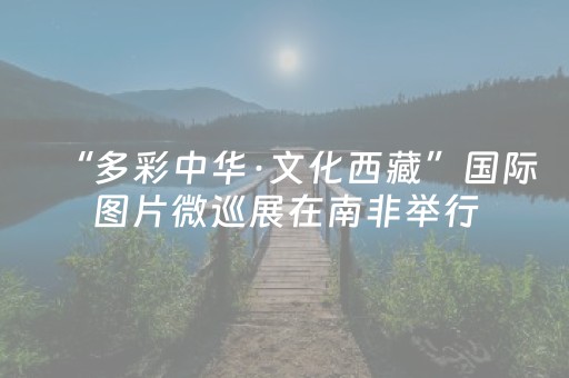 “多彩中华·文化西藏”国际图片微巡展在南非举行