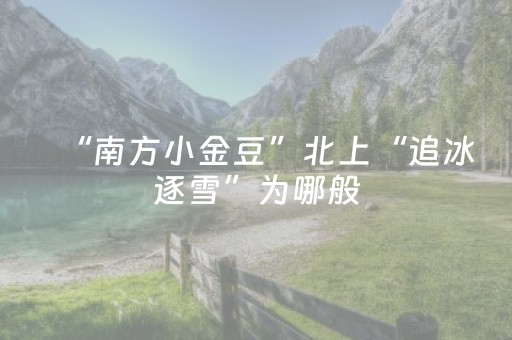 “南方小金豆”北上“追冰逐雪”为哪般