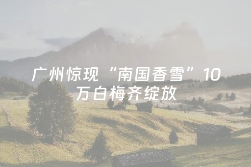 广州惊现“南国香雪”10万白梅齐绽放，3000亩花海美到窒息