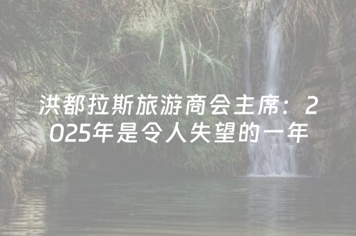 洪都拉斯旅游商会主席：2025年是令人失望的一年
