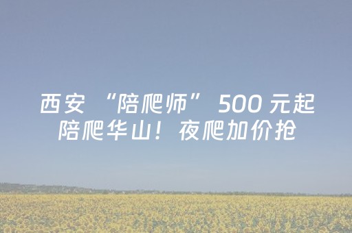 西安 “陪爬师” 500 元起陪爬华山！夜爬加价抢，却藏 3 大致命漏洞？