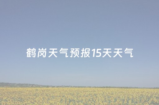 鹤岗天气预报15天天气（鹤岗天气预报15天天气预报查询）