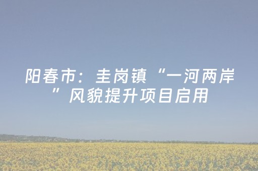 阳春市：圭岗镇“一河两岸”风貌提升项目启用