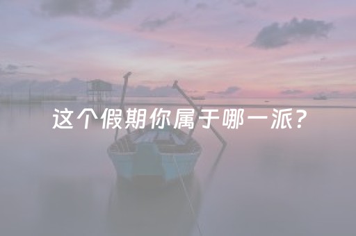 这个假期你属于哪一派？