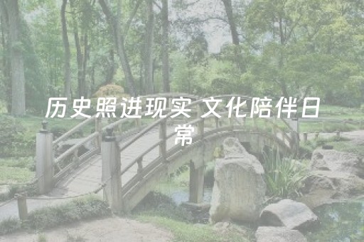 历史照进现实 文化陪伴日常