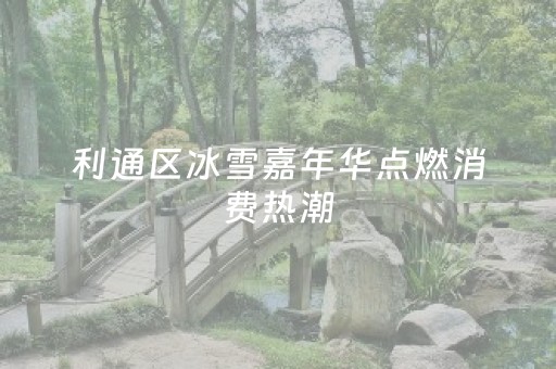 利通区冰雪嘉年华点燃消费热潮