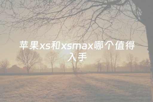 苹果xs和xsmax哪个值得入手（xs好还是xsmax好）