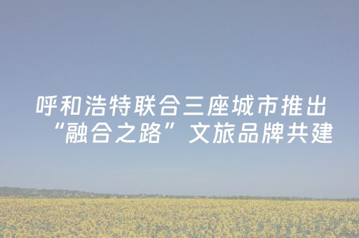 呼和浩特联合三座城市推出“融合之路”文旅品牌共建计划