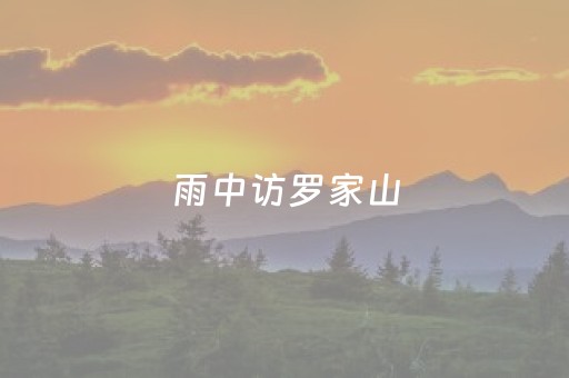 雨中访罗家山