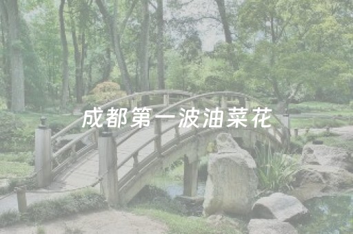 成都第一波油菜花，已经有人打卡了！