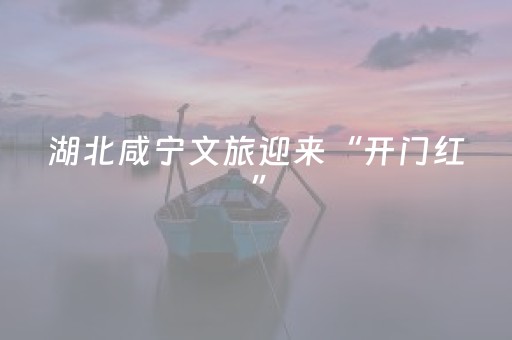 湖北咸宁文旅迎来“开门红”