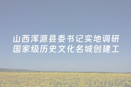 山西浑源县委书记实地调研国家级历史文化名城创建工作