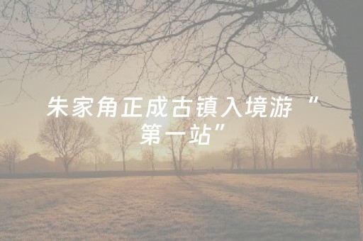 朱家角正成古镇入境游“第一站”