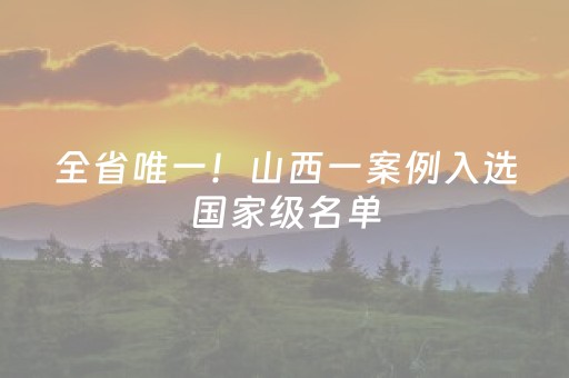 全省唯一！山西一案例入选国家级名单