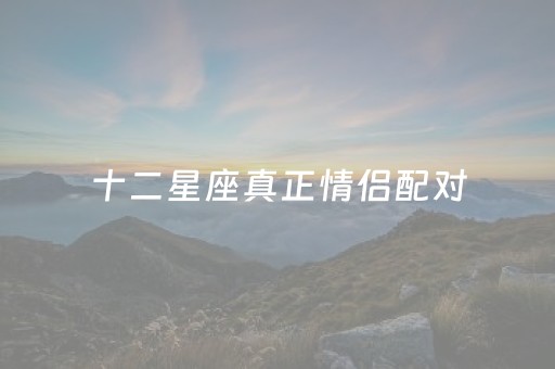 十二星座真正情侣配对（十二星座情侣配对表天秤女）
