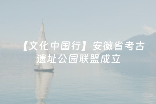【文化中国行】安徽省考古遗址公园联盟成立