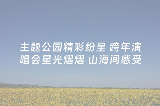 主题公园精彩纷呈 跨年演唱会星光熠熠 山海间感受城市活力 元旦将至 深圳备好文旅盛宴迎客