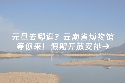 元旦去哪逛？云南省博物馆等你来！假期开放安排→