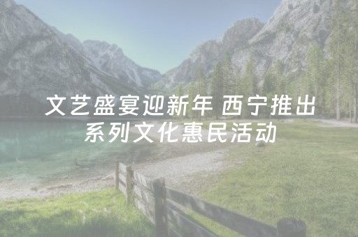 文艺盛宴迎新年 西宁推出系列文化惠民活动