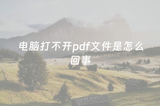 电脑打不开pdf文件是怎么回事（电脑打开不了pdf文件怎么办）