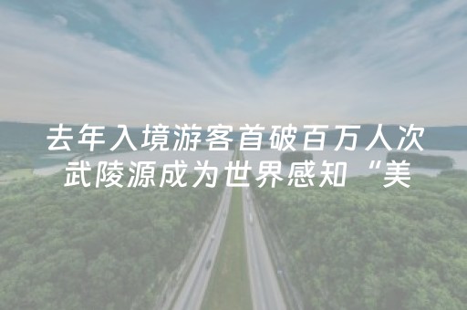 去年入境游客首破百万人次 武陵源成为世界感知“美丽中国”的重要窗口