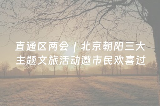 直通区两会｜北京朝阳三大主题文旅活动邀市民欢喜过大年