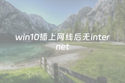 win10插上网线后无internet（win10插上网线后无以太网）