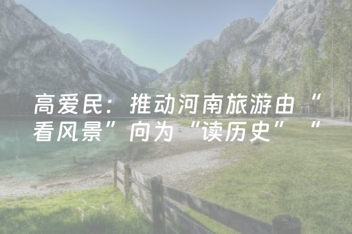 高爱民：推动河南旅游由“看风景”向为“读历史”“品文化”转变